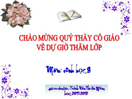 Bài 57. Tuyến tụy và tuyến trên thận