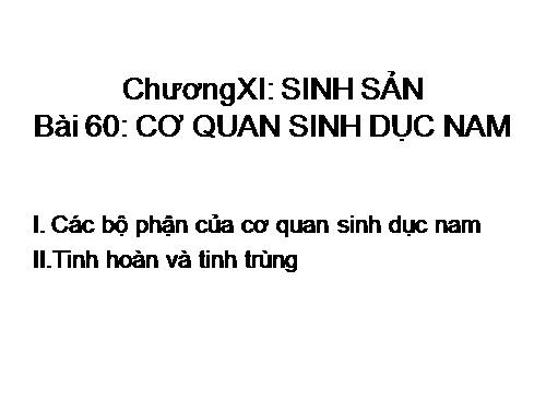 Bài 60. Cơ quan sinh dục nam