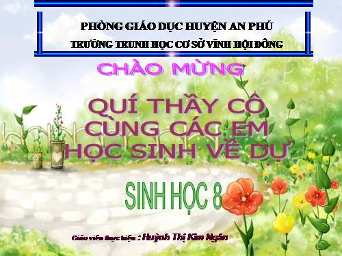 Bài 60. Cơ quan sinh dục nam