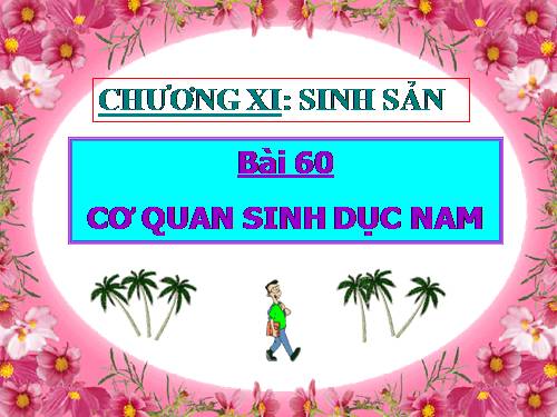 Bài 60. Cơ quan sinh dục nam