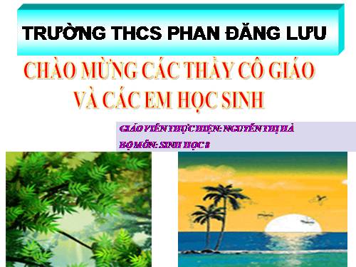 Bài 56. Tuyến yên, tuyến giáp