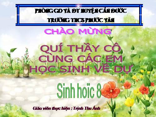 Bài 60. Cơ quan sinh dục nam