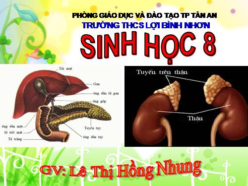 Bài 57. Tuyến tụy và tuyến trên thận