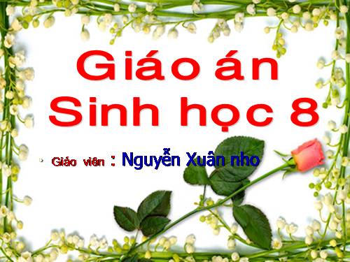 Bài 50 Vệ sinh mắt