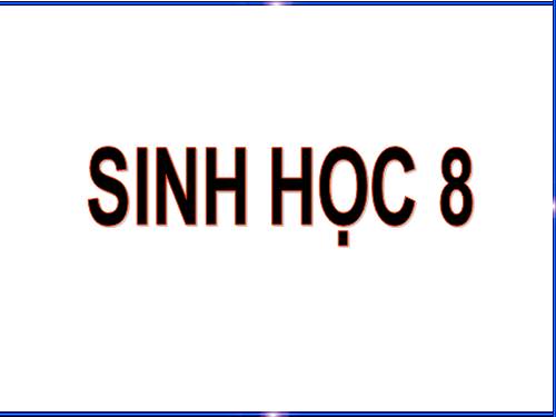 Bài 49. Cơ quan phân tích thị giác