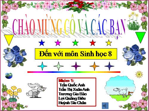 Bài 48. Hệ thần kinh sinh dưỡng