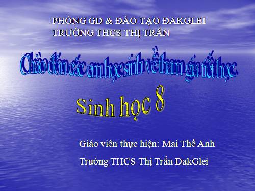 Bài 51. Cơ quan phân tích thính giác