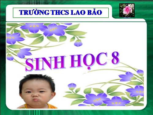 Bài 21. Hoạt động hô hấp