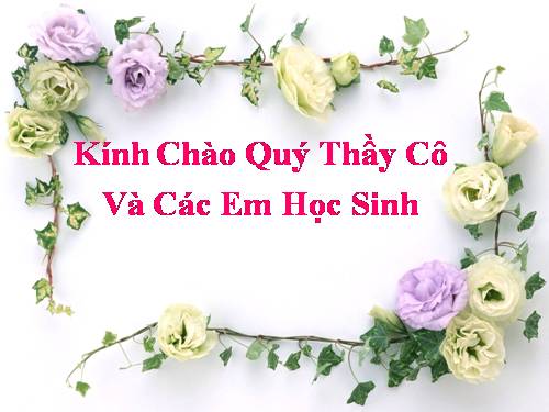 Bài 49. Cơ quan phân tích thị giác