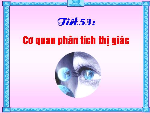 Bài 49. Cơ quan phân tích thị giác