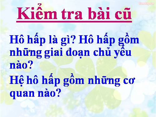 Bài 21. Hoạt động hô hấp