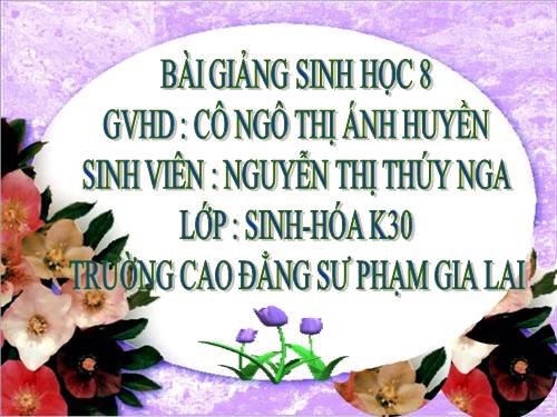 Bài 50 Vệ sinh mắt