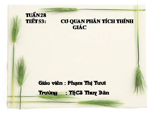 Bài 51. Cơ quan phân tích thính giác