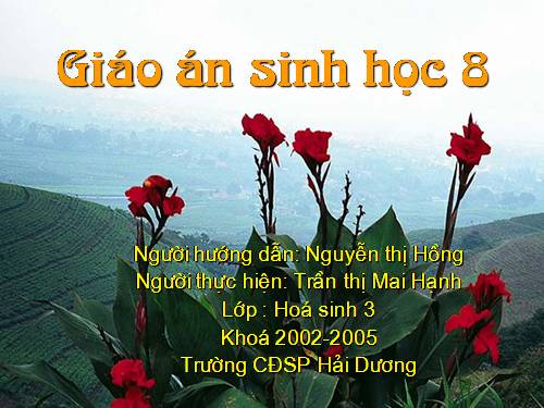 Bài 43. Giới thiệu chung hệ thần kinh