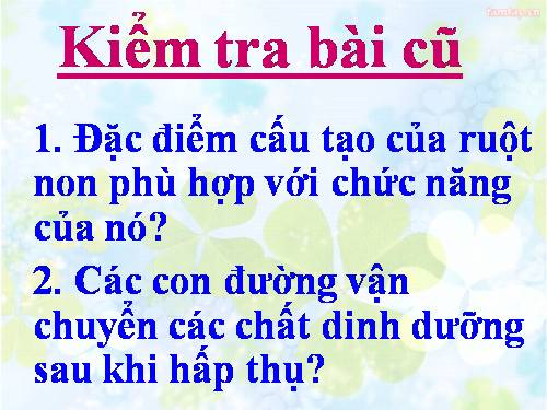 Bài 30. Vệ sinh tiêu hóa