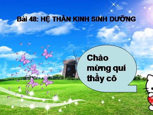 Bài 48. Hệ thần kinh sinh dưỡng