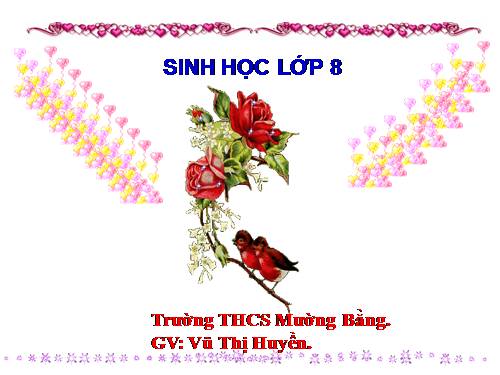 Bài 51. Cơ quan phân tích thính giác