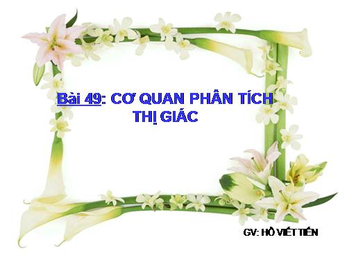 Bài 49. Cơ quan phân tích thị giác