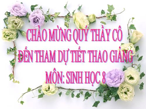 Bài 21. Hoạt động hô hấp