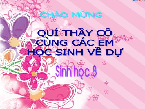 Bài 55. Giới thiệu chung hệ nội tiết