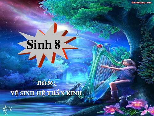 Bài 54. Vệ sinh hệ thần kinh