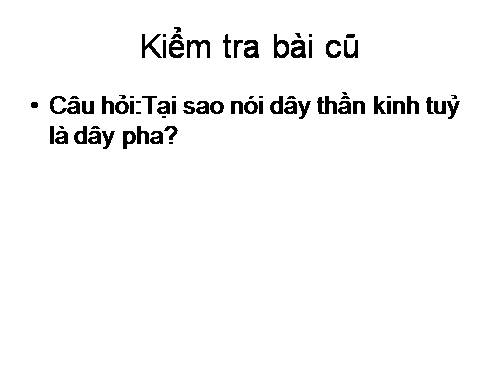 Bài 46. Trụ não. Tiểu não. Não trung gian