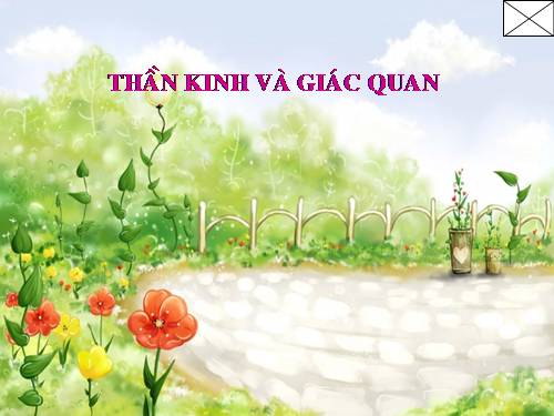 Bài 43. Giới thiệu chung hệ thần kinh