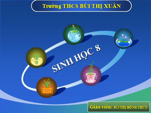 Bài 44. Thực hành: Tìm hiểu về hệ chức năng (liên quan đến cấu tạo) của tủy sống