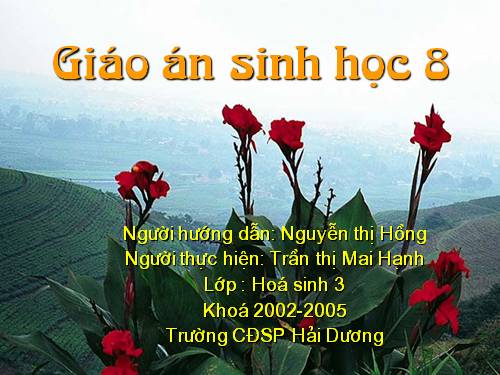 Bài 43. Giới thiệu chung hệ thần kinh