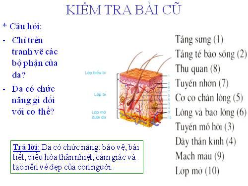 Bài 42. Vệ sinh da