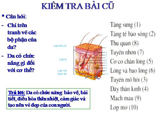 Bài 42. Vệ sinh da