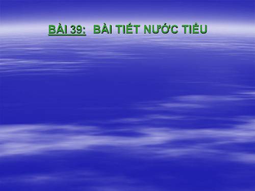 Bài 39. Bài tiết nước tiểu