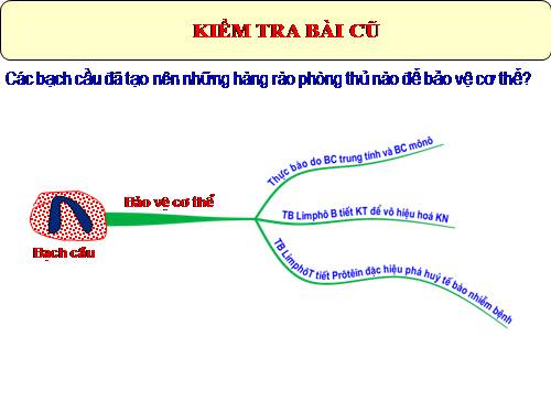 Bài 15. Đông máu và nguyên tắc truyền máu