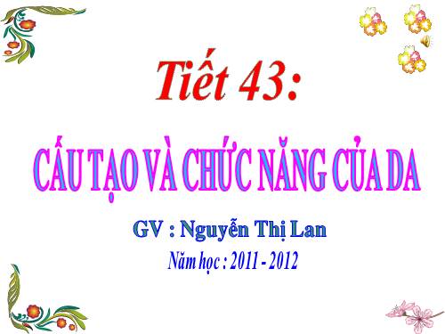 Bài 41. Cấu tạo và chức năng của da