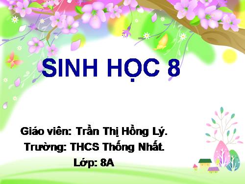 Bài 20. Hô hấp và các cơ quan hô hấp