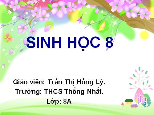 Bài 20. Hô hấp và các cơ quan hô hấp