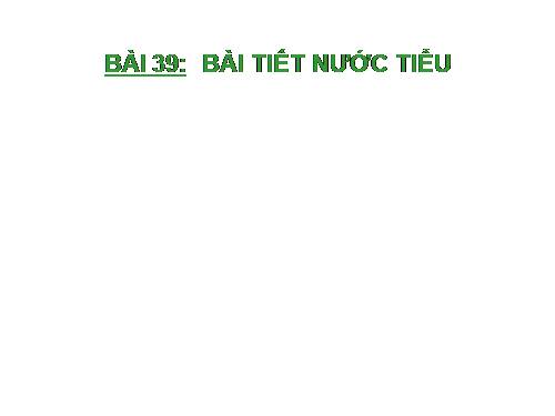 Bài 39. Bài tiết nước tiểu