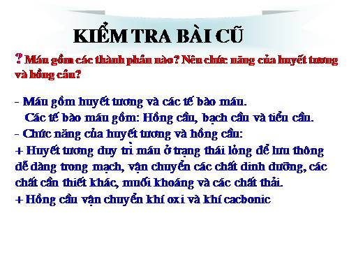 Bài 14. Bạch cầu- Miễn dịch