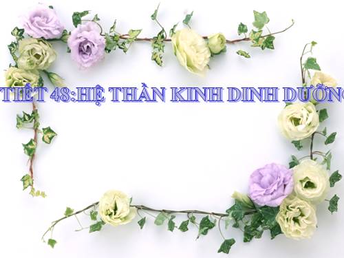 Bài 48. Hệ thần kinh sinh dưỡng