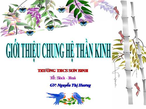 Bài 43. Giới thiệu chung hệ thần kinh