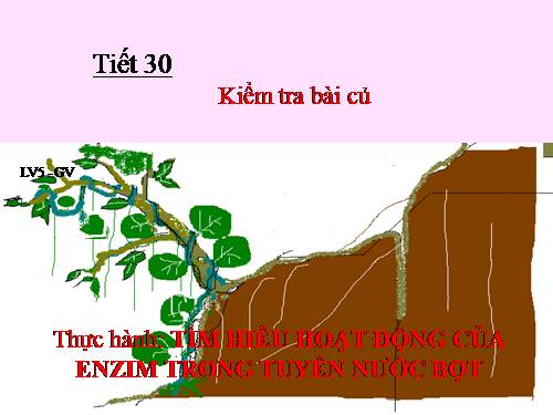 Bài 26. Thực hành: Tìm hiểu hoạt động của enzim trong nước bọt