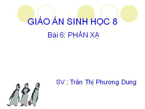 Bài 6. Phản xạ