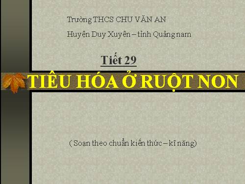 Bài 28. Tiêu hóa ở ruột non