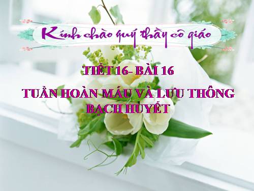 Bài 16. Tuần hoàn máu và lưu thông bạch huyết