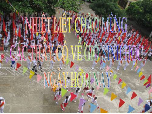 Bài 21. Hoạt động hô hấp