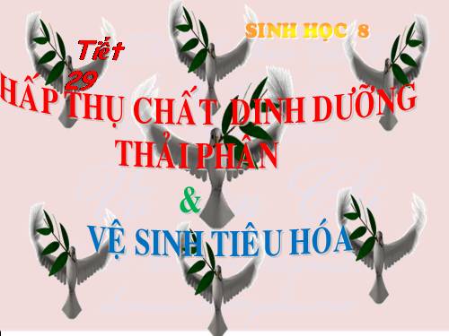 Bài 29. Hấp thụ chất dinh dưỡng và thải phân