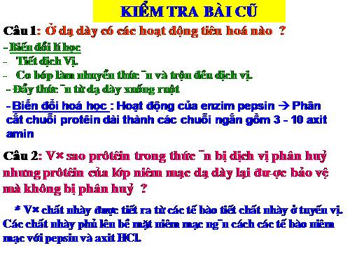 Bài 28. Tiêu hóa ở ruột non