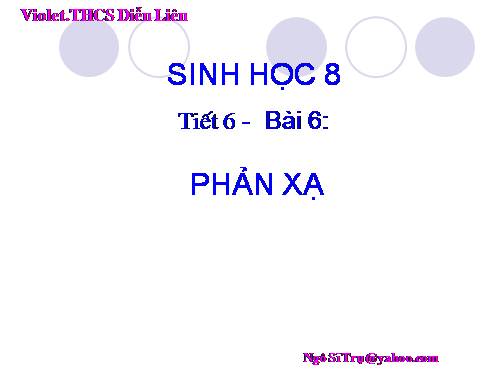 Bài 6. Phản xạ