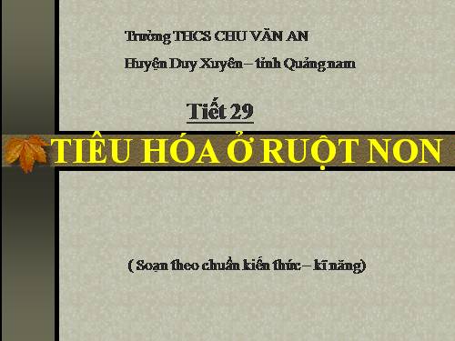 Bài 28. Tiêu hóa ở ruột non