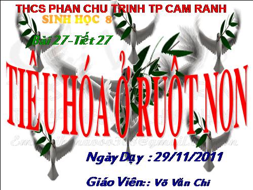 Bài 28. Tiêu hóa ở ruột non